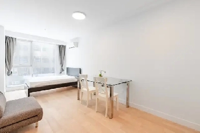 Prime Downtown Location Apartment for Rent