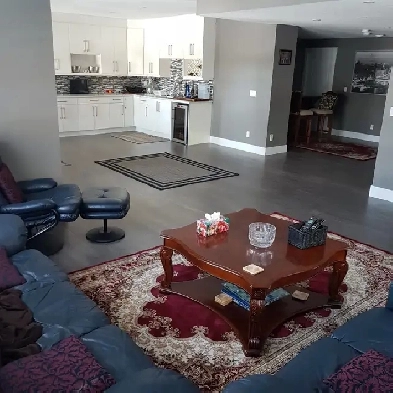 Brand New Basement For Rent (Walk-Out & With Separate Entrance)