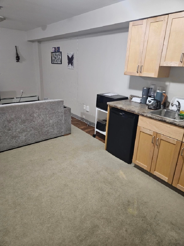 Basement Bachelor Suite