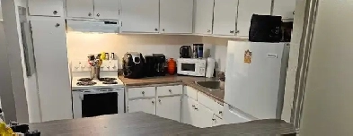 Hull – All-Inclusive | 1st Month FREE   AC Fee PAID   Early Move