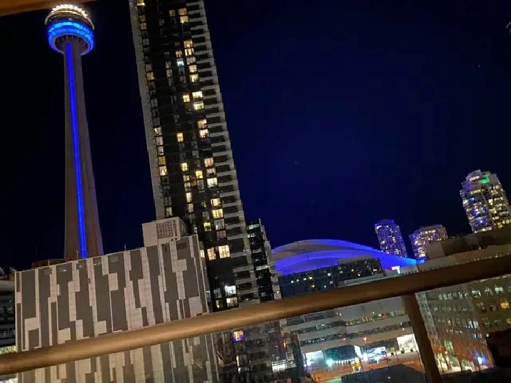 Accommodation,Furnished Den/Room,Downtown,King/John,Females Only