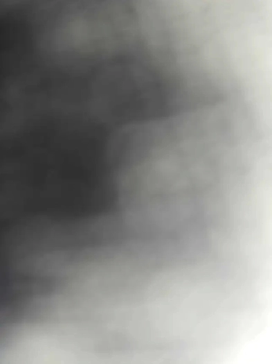 Grand 3 ½ à louer près de l'hôpital Maisonneuve-Rosemont