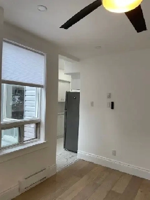 Very nice bachelor available July 1st! Downtown location