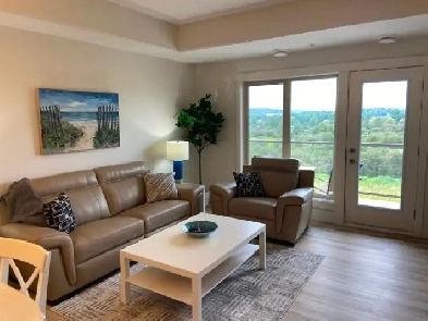 Furnished 2 Bed Luxury Condo For Rent in Drayton Valley