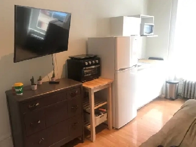 Superbe studio meublé tout inclus WIFI JUILLET