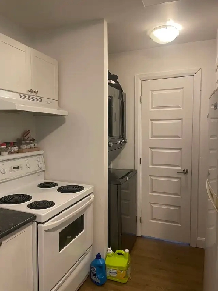 Très beau 3 1/2, St-Sauveur rue Boisseau, Juillet