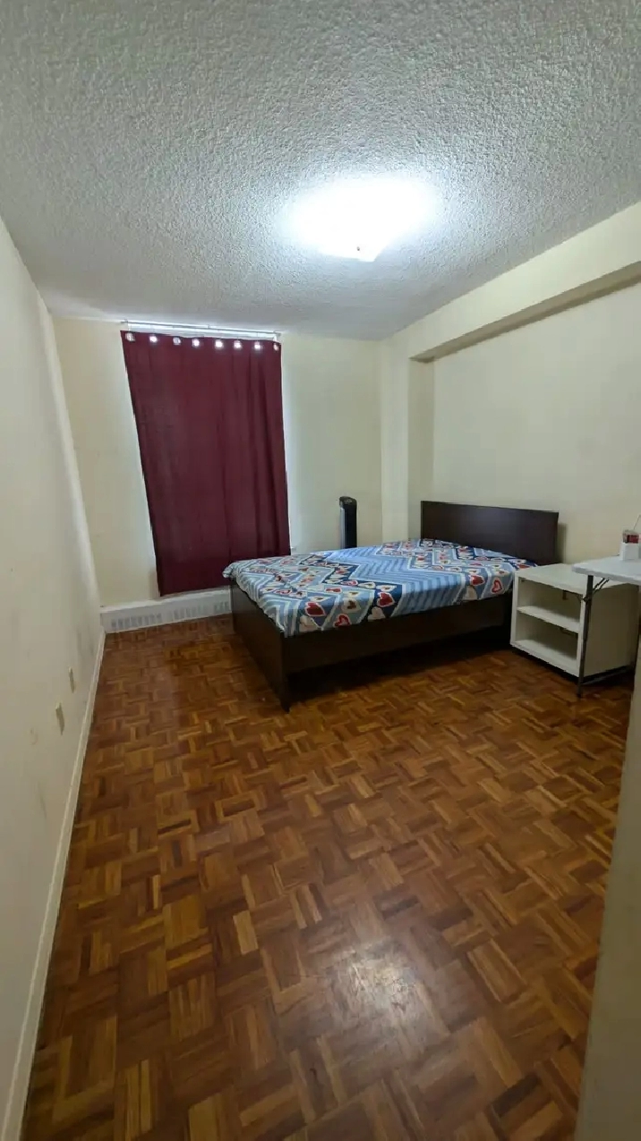 Sharing accommodation downtown toronto