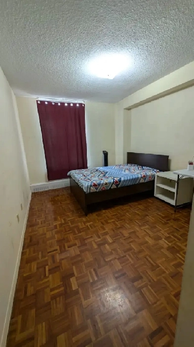 Sharing accommodation downtown toronto