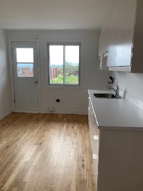 Grand 4 1/2 à louer Métro Langelier 2ième étage