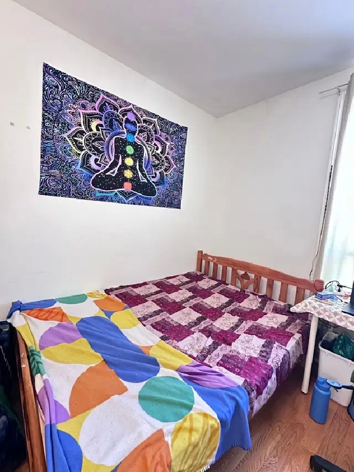 immediate sharing accommodation downtown Toronto