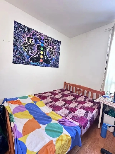 immediate sharing accommodation downtown Toronto