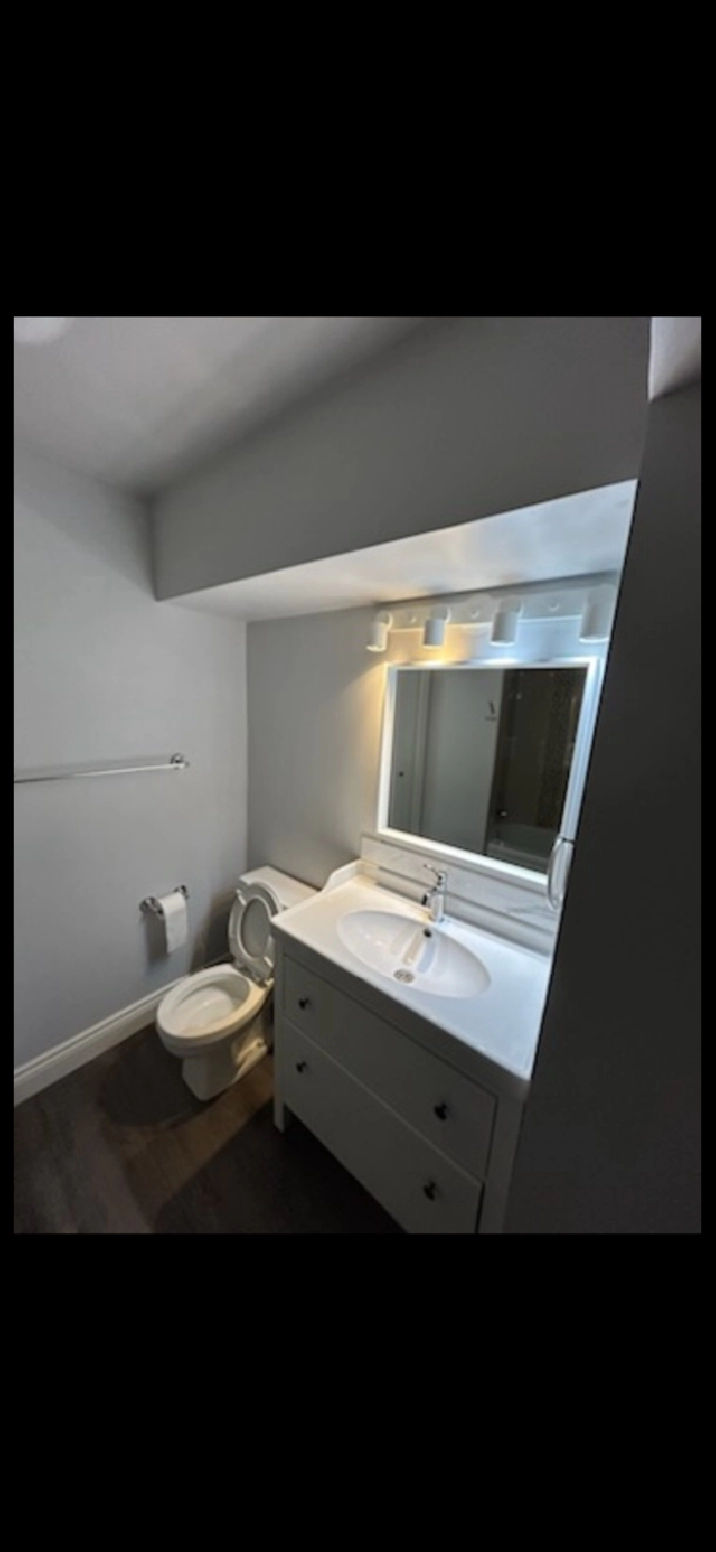 Inner City : bridgeland basement appartment for rent