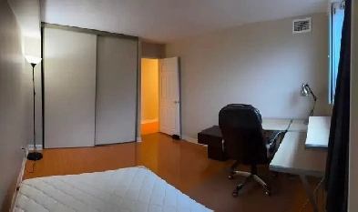 Large Furnished Room in Two Bedroom Suite Downtown Toronto