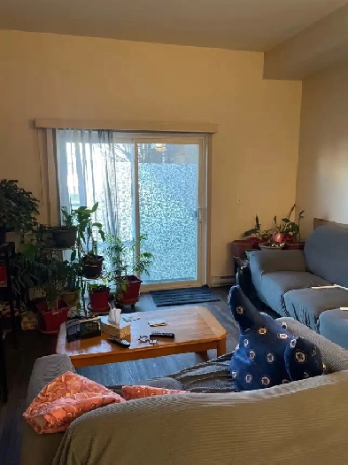 couple looking for female room mate