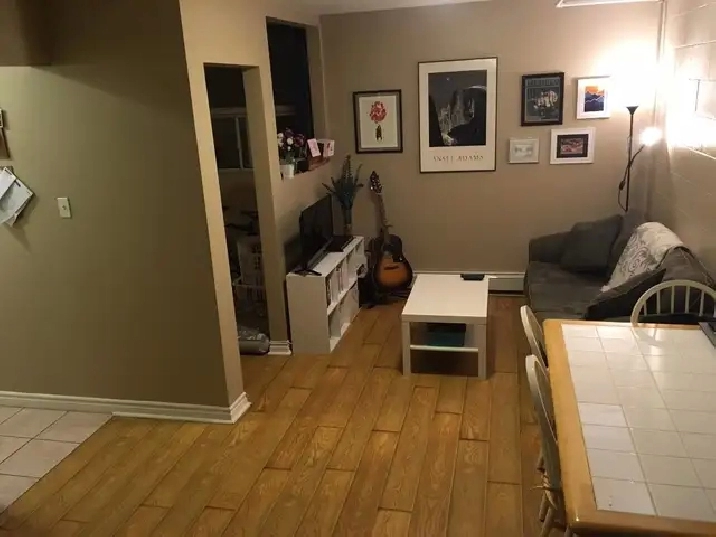 1BR studio lower level at 385 Woolwich St - clean, quiet $1475
