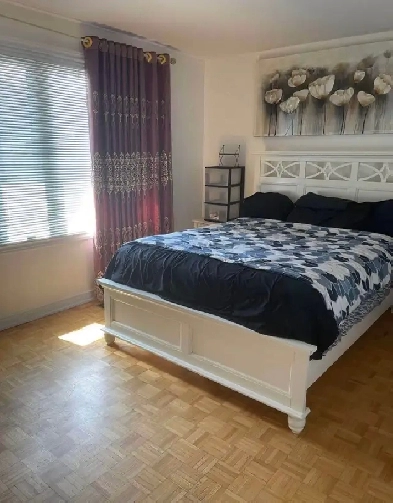 Downtown Toronto Spacious Room with Natural Light – For Rent