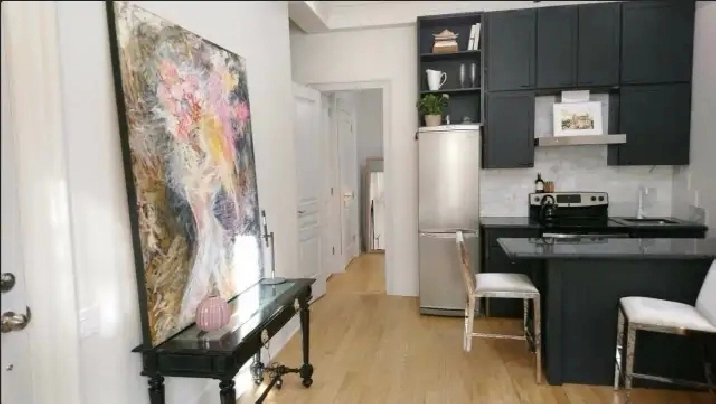 1 Bed Apartment Queen West Parkdale | June 1 | $2,000