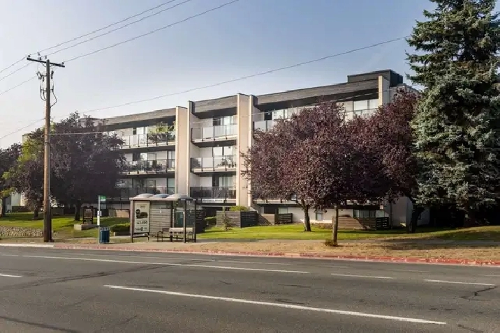 1204 Yates Street Apartments - Bachelor available at 1204 Yates