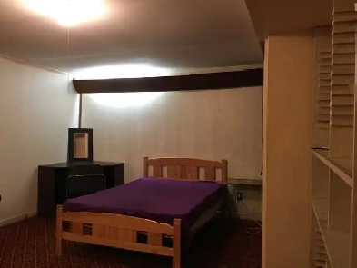 Spacious quiet furnished room close to Kennedy subway stn