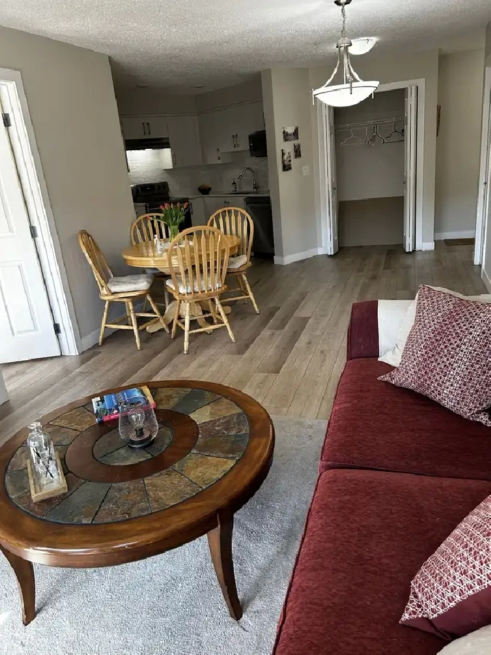 Bright and Modern Apartment in South Edmonton
