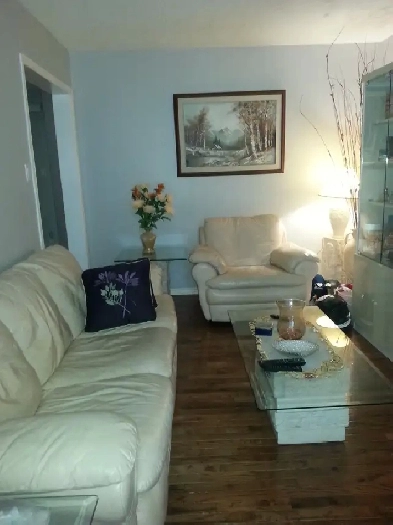 Upper level room 650 May 1 or May 15 near Sheridan Brampton
