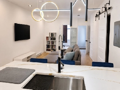 Newly Renovated 4 1/2 Apartment for Rent – Ville-Marie