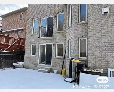 Markham Rd/Steeles Walkout Basement For Rent