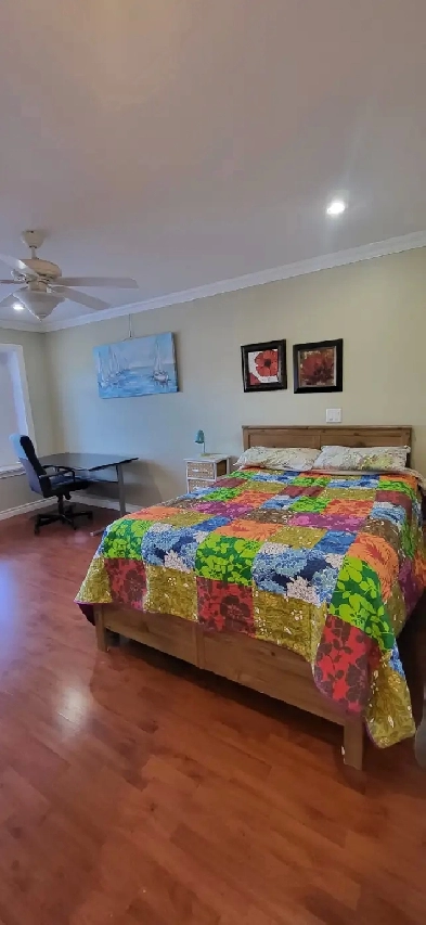 furnished room/walk in closet/private bath near Royal Oak Skytra