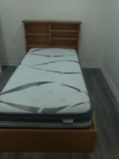 Room for rent near humber collage