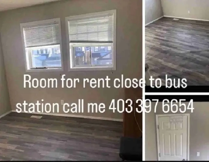 room For Rent