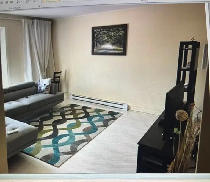 LUXURY TWO BEDROOM RENTAL HIGH END APT JULY 1ST
