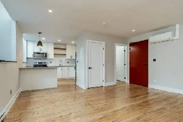 Large 2 Bedroom Downtown Apartment For Rent