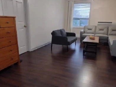 2 bedroom 2 bathroom apaartment downtown Kingston