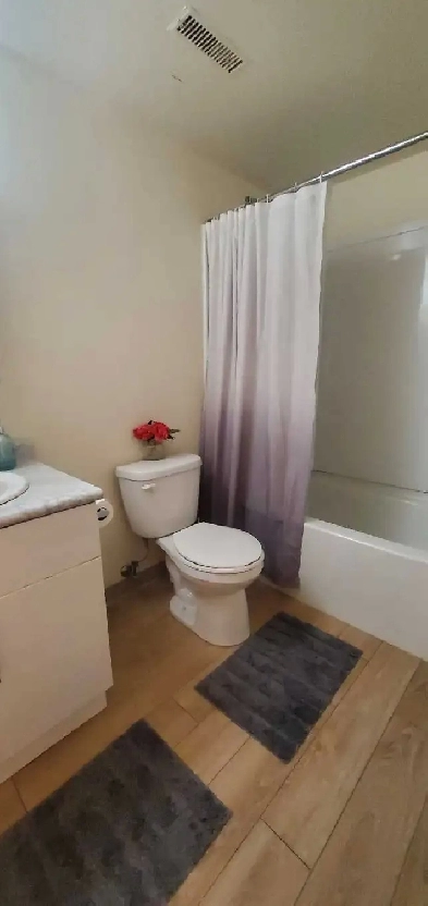 1 bedroom apartment/ sublet