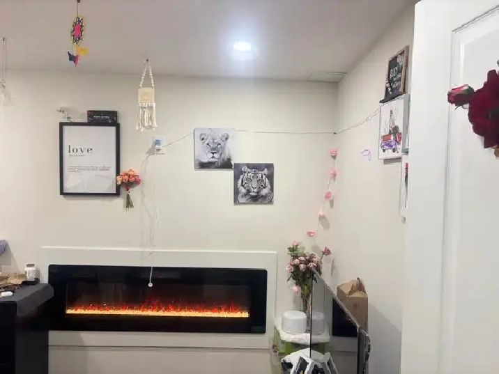 Room for rent