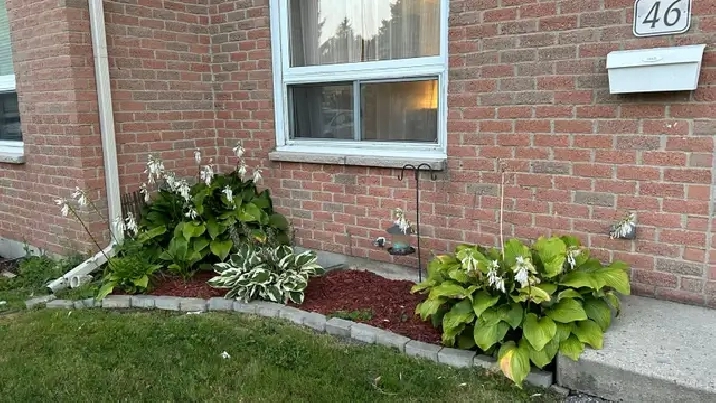 Student Rental - Room for Rent