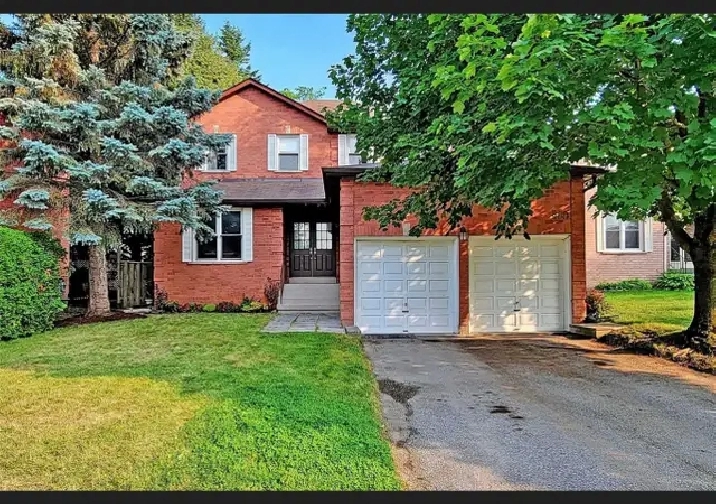 Full house For Rent ( GOOD LOCATION)