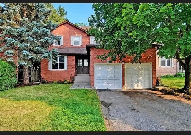 Full house For Rent ( GOOD LOCATION)