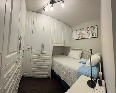 Furnished Den/Room,Downtown,King/John,Luxury living,Female-Only