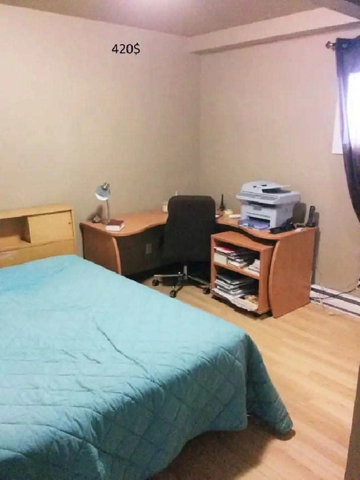 Photo 6