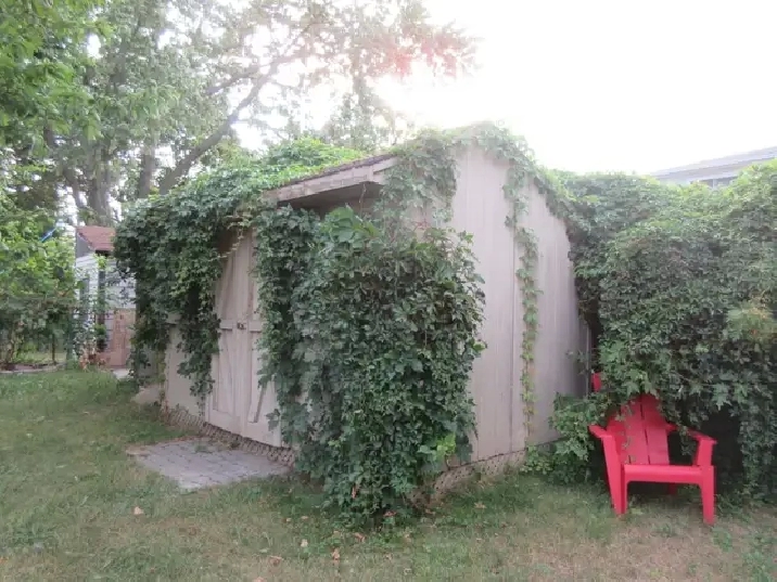 Photo 4