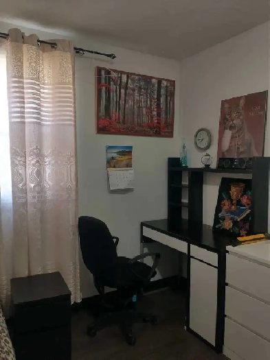 room for rent