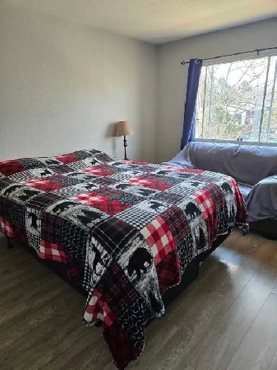 Room for Rent
