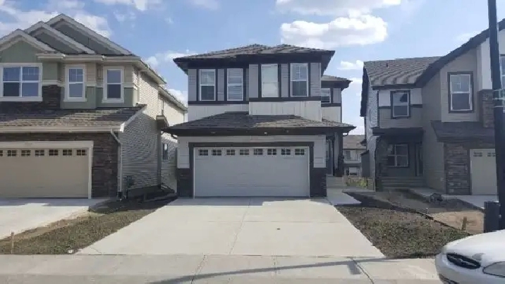 WALKOUT Basement Suite for Rent