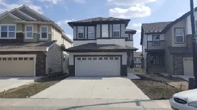 WALKOUT Basement Suite for Rent
