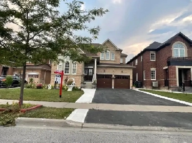 New Legal Basment Appartment for Lease