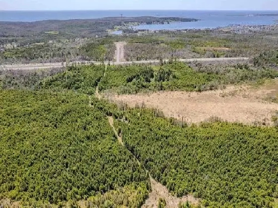 60 ACRES NEAR THE OCEAN!