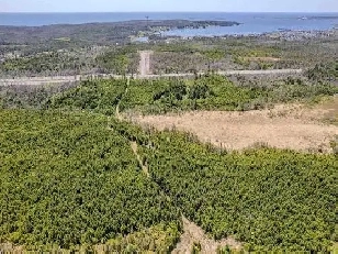 60 ACRES NEAR THE OCEAN!