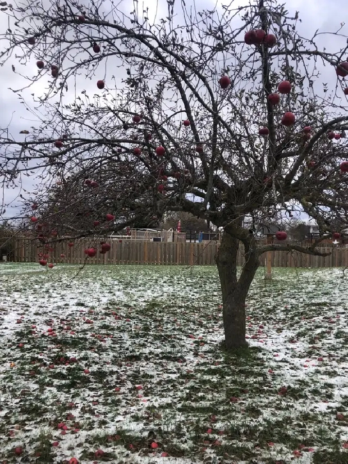 lot in ST Williams Ontario