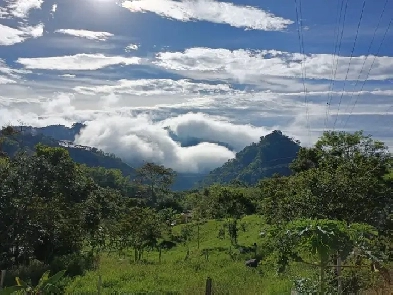 Andes Chalet in the Coffee Triangle  of Colombia